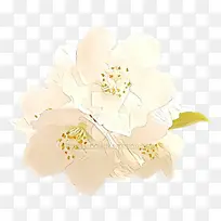 ��ͨ ��ɫ ����-������