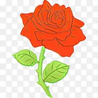 卡通 花卉 花园玫瑰-空若网 卡通 花卉 花园玫瑰-空若网