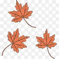 叶 树 枫叶-空若网 叶 树 枫叶-空若网