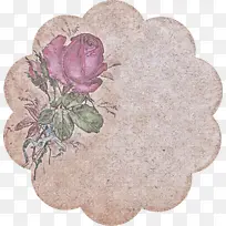 粉色 花 花瓣-空若网 粉色 花 花瓣-空若网