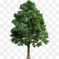 水彩画 油漆 湿墨-空若网 水彩画 油漆 湿墨-空若网