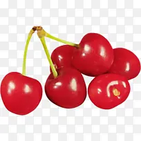 樱桃 水果 植物-空若网 樱桃 水果 植物-空若网