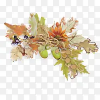 叶 花 植物-空若网 叶 花 植物-空若网