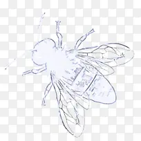 ���� ��Ӭ ���-������