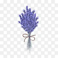 ���� ޹�²� Ӣ��޹�²�-������