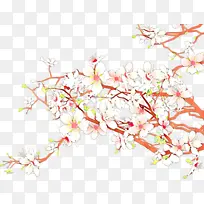 ��ͨ ��֦ ����-������