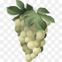 葡萄 叶子 植物-空若网 葡萄 叶子 植物-空若网