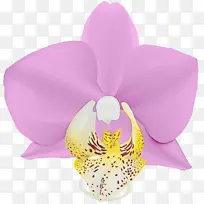 ˮ�ʻ� ���� ʪī-������