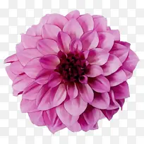 ˮ�� ���� ʪī-������