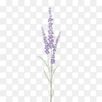 水彩画 颜料 湿墨-空若网 水彩画 颜料 湿墨-空若网