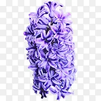 ˮ�� ���� ʪīˮ-������