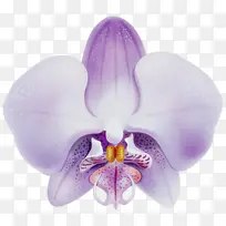 水彩 颜料 湿墨-空若网 水彩 颜料 湿墨-空若网