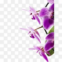 水彩 油漆 湿墨-空若网 水彩 油漆 湿墨-空若网