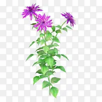 水彩 油漆 湿墨-空若网 水彩 油漆 湿墨-空若网