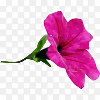 水彩画 颜料 湿墨-空若网 水彩画 颜料 湿墨-空若网