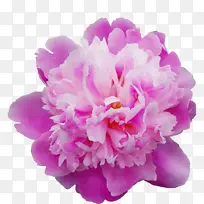 水彩 颜料 湿墨-空若网 水彩 颜料 湿墨-空若网