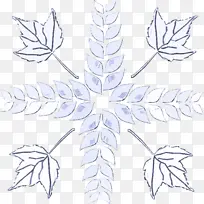 叶 植物 对称-空若网 叶 植物 对称-空若网