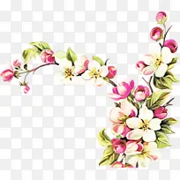 ���� ��ɫ ֲ��-������