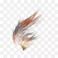 ��ë����ͼ������ɫ���-������