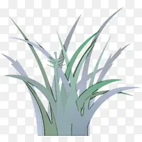 ֲ�� �� ����ֲ��-������