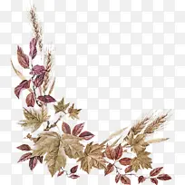 叶子 植物 花-空若网 叶子 植物 花-空若网