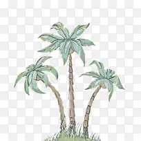 �ɹ���Ʒ�� ֲ�� �����-������