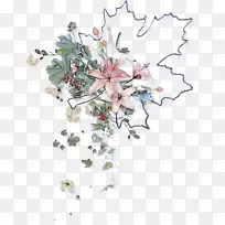 花卉 植物 切花-空若网 花卉 植物 切花-空若网