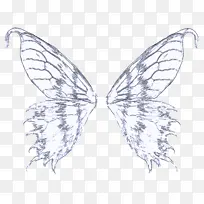 飞蛾和蝴蝶 昆虫 蝴蝶-空若网 飞蛾和蝴蝶 昆虫 蝴蝶-空若网