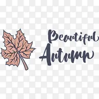 Ҷ�� �� ֲ��-������