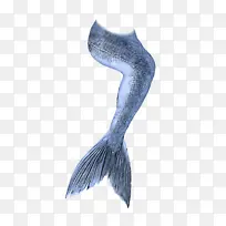 �� ��� ����-������