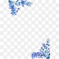 花 丁香 植物-空若网 花 丁香 植物-空若网