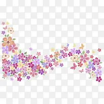 ޹�²� ������� ����-������