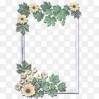 花 植物 开花植物-空若网 花 植物 开花植物-空若网