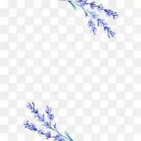 ޹�²� ���� ��-������