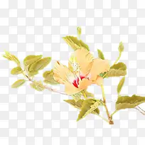 卡通 花卉 植物-空若网 卡通 花卉 植物-空若网