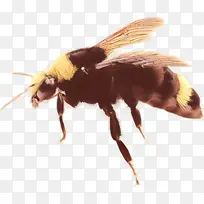 ¿¨Í¨ À¥³æ ¹ûÓ¬-¿ÕÈôÍø ¿¨Í¨ À¥³æ ¹ûÓ¬-¿ÕÈôÍø