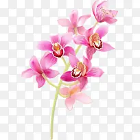 Ë®²Ê ÓÍÆá ʪī-¿ÕÈôÍø Ë®²Ê ÓÍÆá ʪī-¿ÕÈôÍø