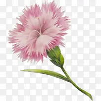 ˮ�� ���� ʪī-������