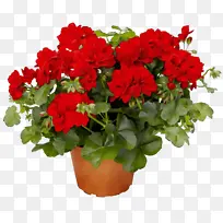 水彩 油漆 湿墨-空若网 水彩 油漆 湿墨-空若网