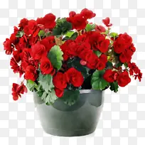 水彩 油漆 湿墨-空若网 水彩 油漆 湿墨-空若网