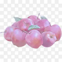 粉色 水果 植物-空若网 粉色 水果 植物-空若网