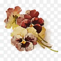 采购产品花 切花 植物-空若网 采购产品花 切花 植物-空若网