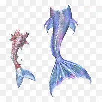 �鹹���� ��� ������-������