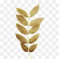 卡通 叶子 植物-空若网 卡通 叶子 植物-空若网