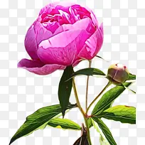 水彩 颜料 湿墨-空若网 水彩 颜料 湿墨-空若网