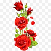 ˮ�� ���� ʪī-������