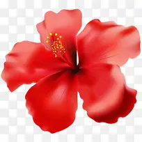 ˮ�� ���� ʪī-������