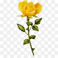 水彩 油漆 湿墨-空若网 水彩 油漆 湿墨-空若网