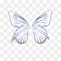 蝴蝶 翅膀 飞蛾和蝴蝶-空若网 蝴蝶 翅膀 飞蛾和蝴蝶-空若网