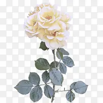 �� ����ֲ�� �����Ƕ�ͯõ��-������